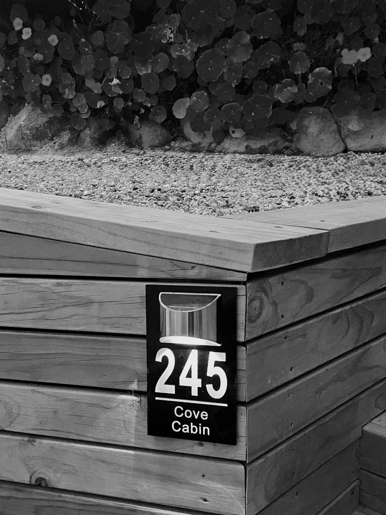 The Cove Cabin - Your Quiet Escape ديوندين المظهر الخارجي الصورة